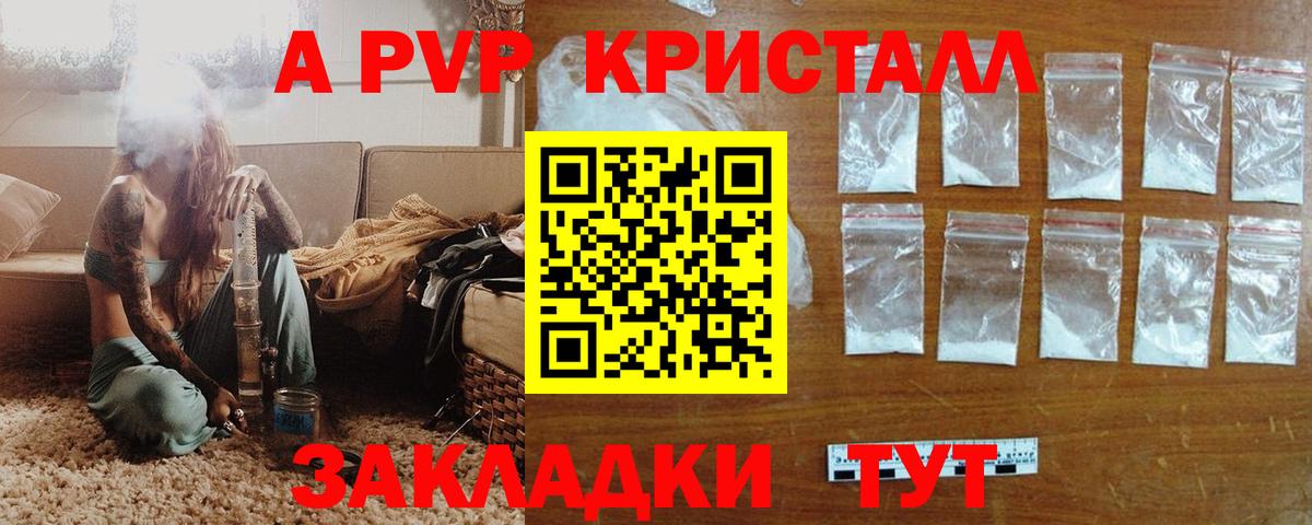 Alfa_PVP СК КРИС Новозыбков