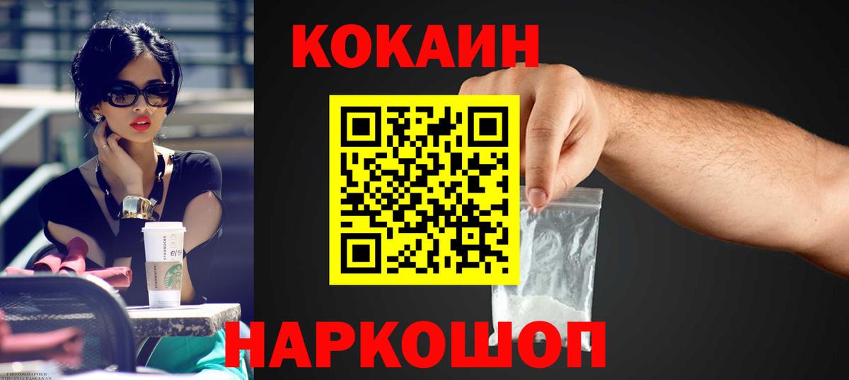 Новозыбков  закладка  Вход с VPN  Кокаин FishScale 