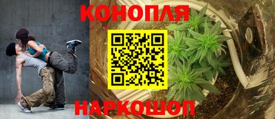 мяу мяу мука Заводоуковск
