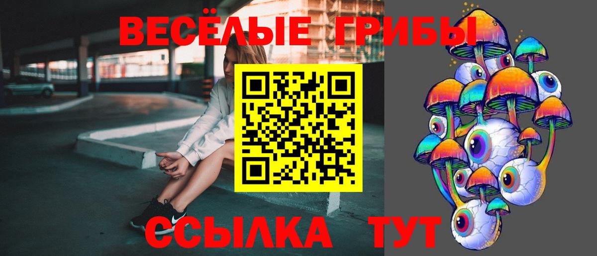 Галлюциногенные грибы прущие грибы Новозыбков