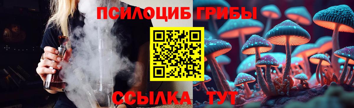 Новозыбков  Галлюциногенные грибы GOLDEN TEACHER  Вход с VPN 